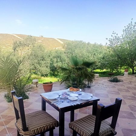 Farmer Stay Hostel Wadi Musa Bagian luar foto